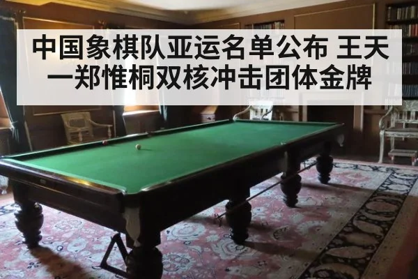 中国象棋队亚运名单公布 王天一郑惟桐双核冲击团体金牌